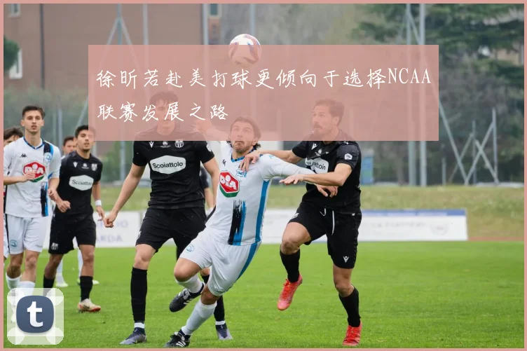 徐昕若赴美打球更倾向于选择NCAA联赛发展之路